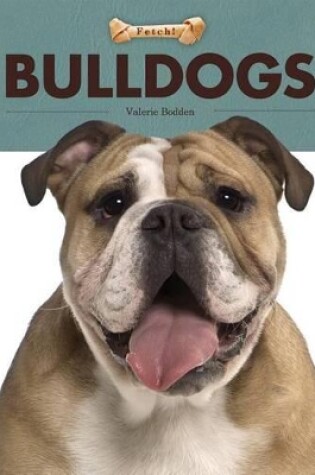 Cover of Bulldogs