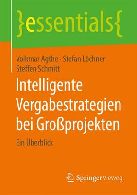 Cover of Intelligente Vergabestrategien Bei Grossprojekten