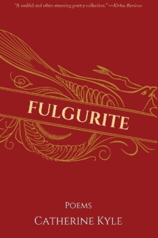 Cover of Fulgurite