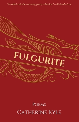 Book cover for Fulgurite