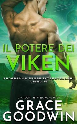Book cover for Il Potere dei Viken