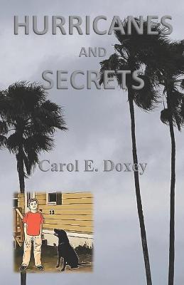 Book cover for Hurricanes and Secrets