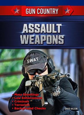 Book cover for Assault Weapons
