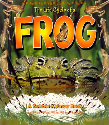 Book cover for The Life Cycle of the Frog