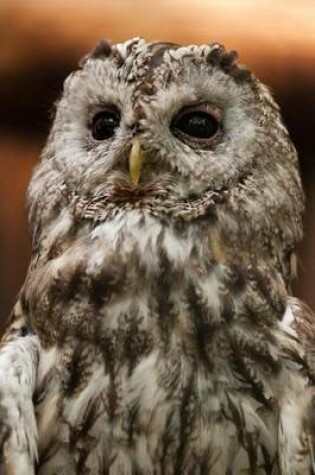 Cover of Tawny Owl, Birds of the World