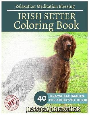 Book cover for Irish Setter Coloring Book for Adults Relaxation Meditation Blessing