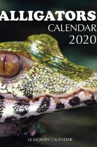 Cover of Alligators Calendar 2020