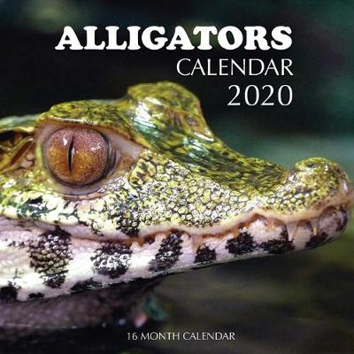 Book cover for Alligators Calendar 2020