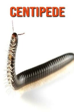 Cover of Centipede