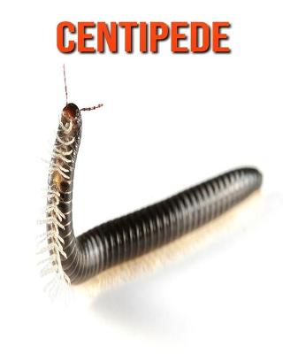 Book cover for Centipede