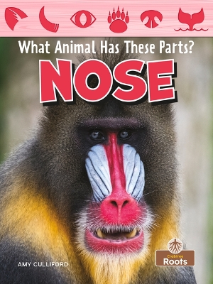 Book cover for Nose