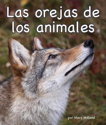 Book cover for Las Orejas de Los Animales (Animal Ears)