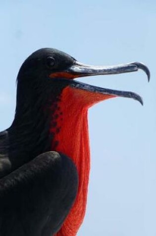 Cover of Great Frigate Bird Galapagos Islands Journal