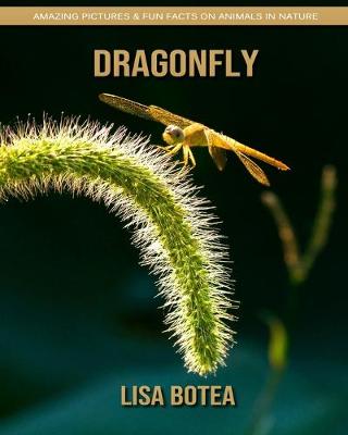 Book cover for Dragonfly