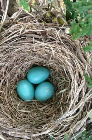 Cover of Blue Robin Eggs in a Nest Journal