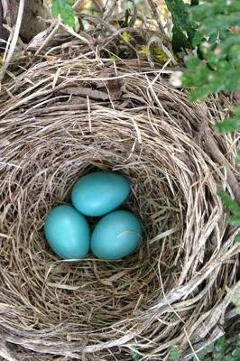 Book cover for Blue Robin Eggs in a Nest Journal