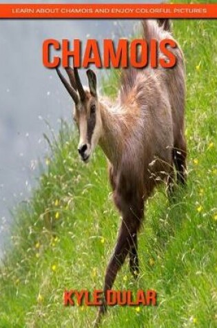 Cover of Chamois! Learn about Chamois and Enjoy Colorful Pictures