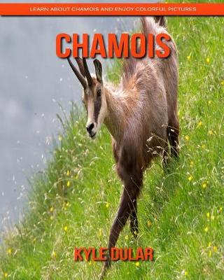 Book cover for Chamois! Learn about Chamois and Enjoy Colorful Pictures