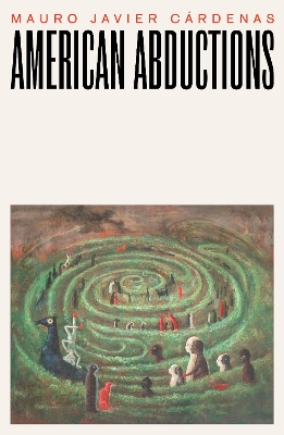 Book cover for American Abductions