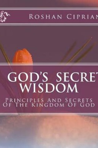 Cover of God's Secret Wisdom