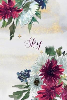 Book cover for Sky