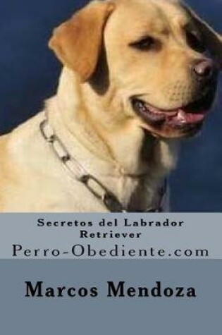 Cover of Secretos del Labrador Retriever