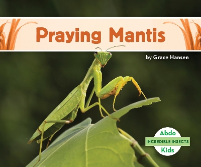 Book cover for Praying Mantis