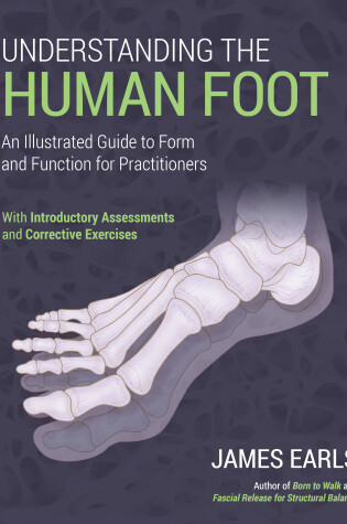 Cover of Understanding the Human Foot