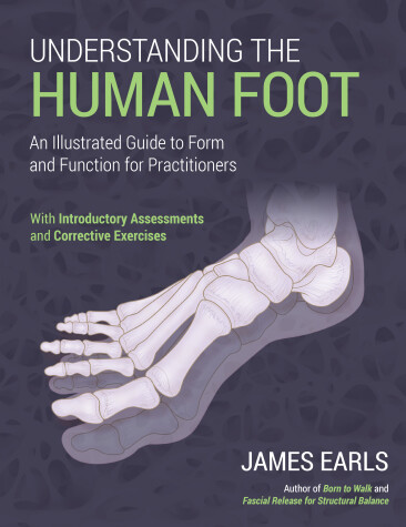 Cover of Understanding the Human Foot