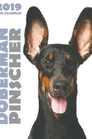 Cover of Doberman 2019 Dog Calendar