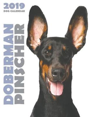 Cover of Doberman 2019 Dog Calendar