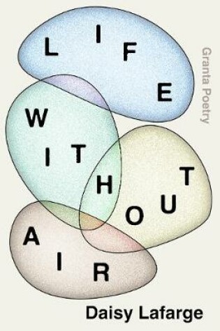 Cover of Life Without Air