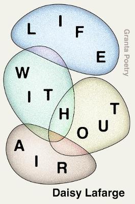 Book cover for Life Without Air