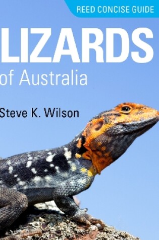 Cover of Reed Concise Guide Lizards of Australia