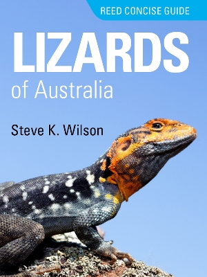 Book cover for Reed Concise Guide Lizards of Australia