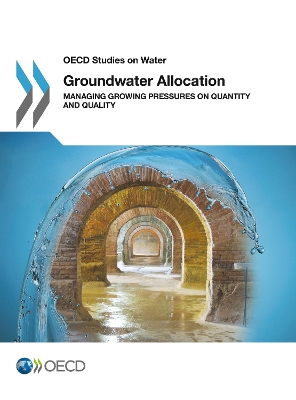 Cover of Groundwater Allocation