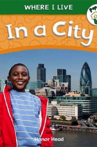 Cover of In a City