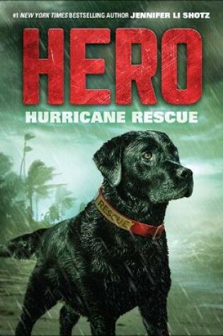 Cover of Hurricane Rescue