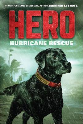 Book cover for Hurricane Rescue