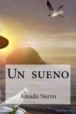 Book cover for Un sueno