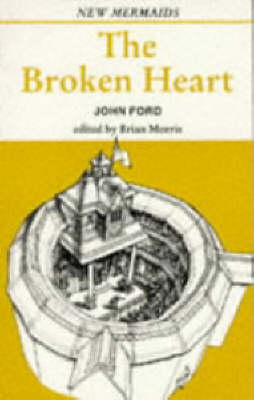 Book cover for The Broken Heart