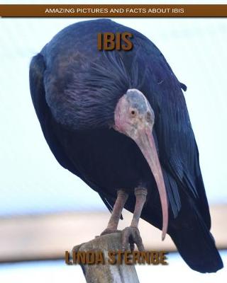 Book cover for Ibis