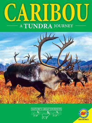 Book cover for Caribou: A Tundra Journey