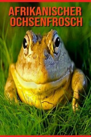 Cover of Afrikanischer Ochsenfrosch