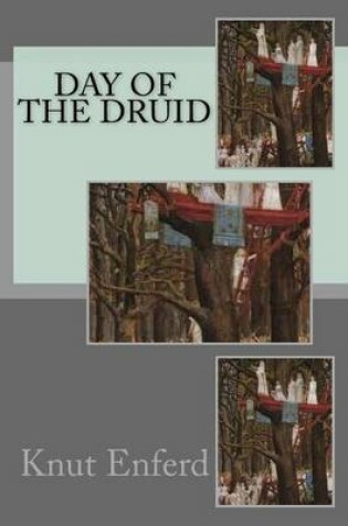 Cover of Day of the Druid