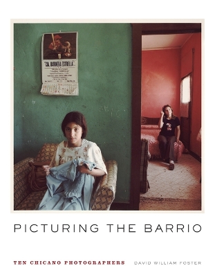 Book cover for Picturing the Barrio