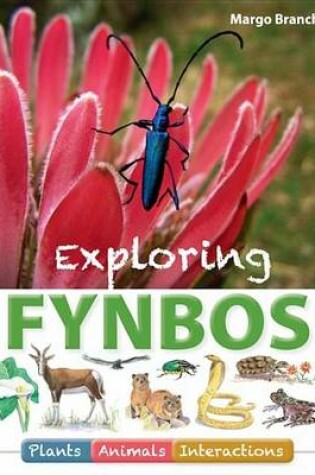 Cover of Exploring Fynbos