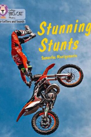 Cover of Stunning Stunts