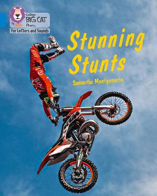 Book cover for Stunning Stunts