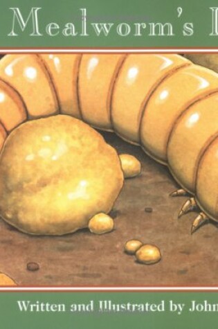 Cover of A Mealworm's Life